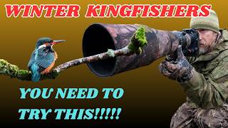 FINDING WINTER KINGFISHERS - SO CLOSE TO HOME - PGYTECH ONEPRO ST
