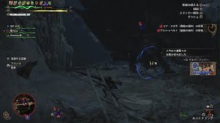 Monster Hunter Wilds　なんの笛？
