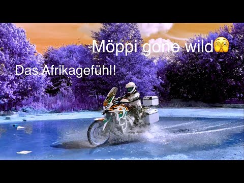 Das Afrika Twin Gefühl! Off-road mit dem Skorpion 🦂 Trail 2, dem DCT und dem E-Fahrwerk.