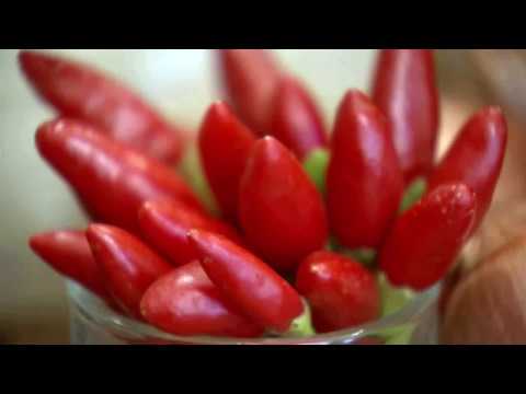 download lagu mp3 mp4 Thai Herbs And Spices List, download lagu Thai Herbs And Spices List gratis, unduh video klip Thai Herbs And Spices List