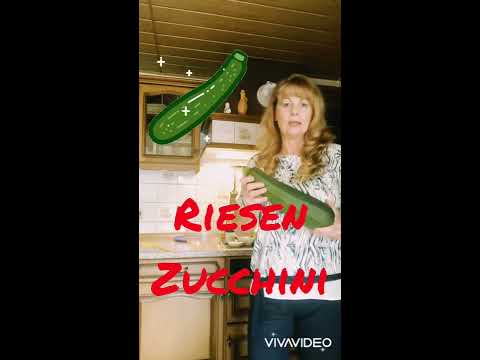 Partyhit - Zucchini ganz anders - süßsauer -