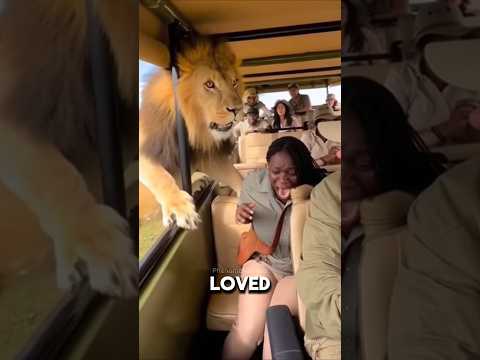 4 Scientists Killed by the Animals They Studied! 😱