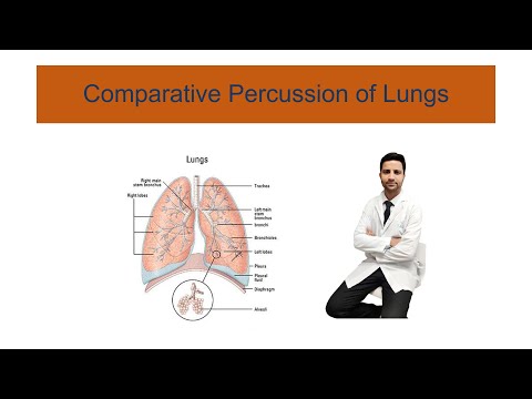 comparative percussion of lungs