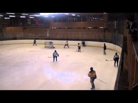 2015-04-26 ECSQ vs. Sweden Selects - (L, 3-2) - Pre WSI Game - Full Ice Video