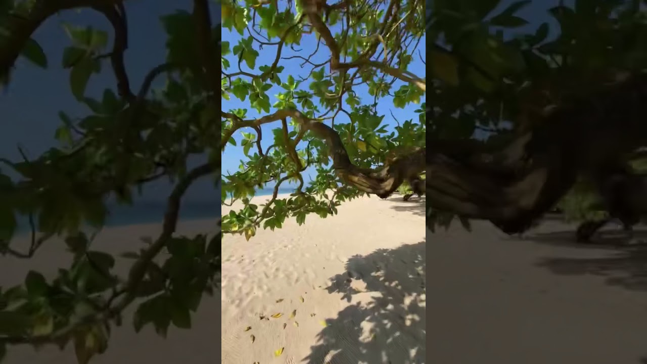 YouTube Short thumbnail