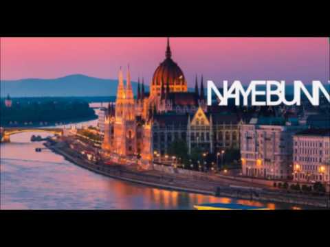 STONOGA-WYPIERDALAJ HAMIE