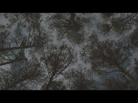 kareem lofty - fr3sh (slowed and reverb)