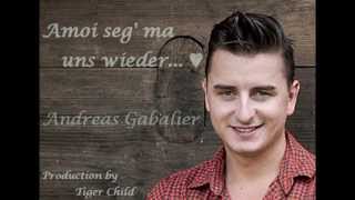 ♥ Amoi seg&#39; ma uns wieder ~ Andreas Gabalier Lyrics ♥
