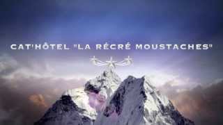 preview picture of video 'Bande annonce 2013 - Hôtel pour chats La Récré Moustaches'