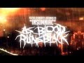As Blood Runs Black - Insomniac (Lyric Video ...