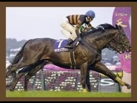 2017 JRA Tenno Sho Autumn _ KITASAN BLACK