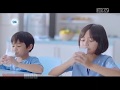 Iklan 95 Tahun Frisian Flag Indonesia Promo