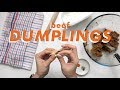 BEEF DUMPLINGS ▸ homemade gyoza wrappers