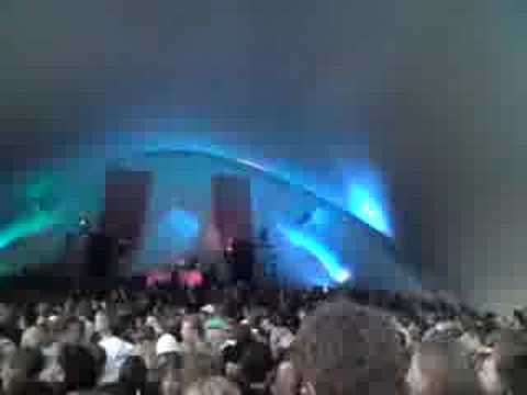 Sneakerz - Gregor Salto