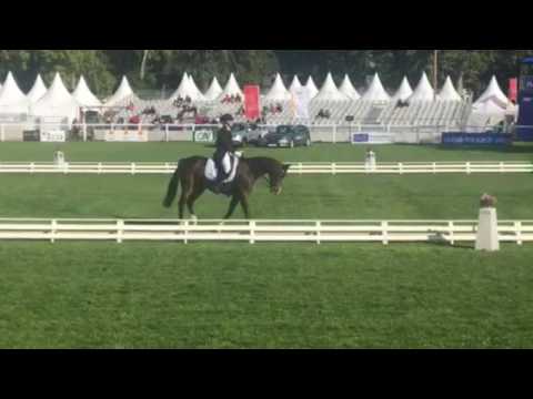 Bofey Click Dressage Le Lion d'Angers 2016