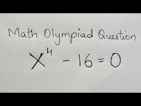 Denmark | Can you solve this? Math Olympiad Question