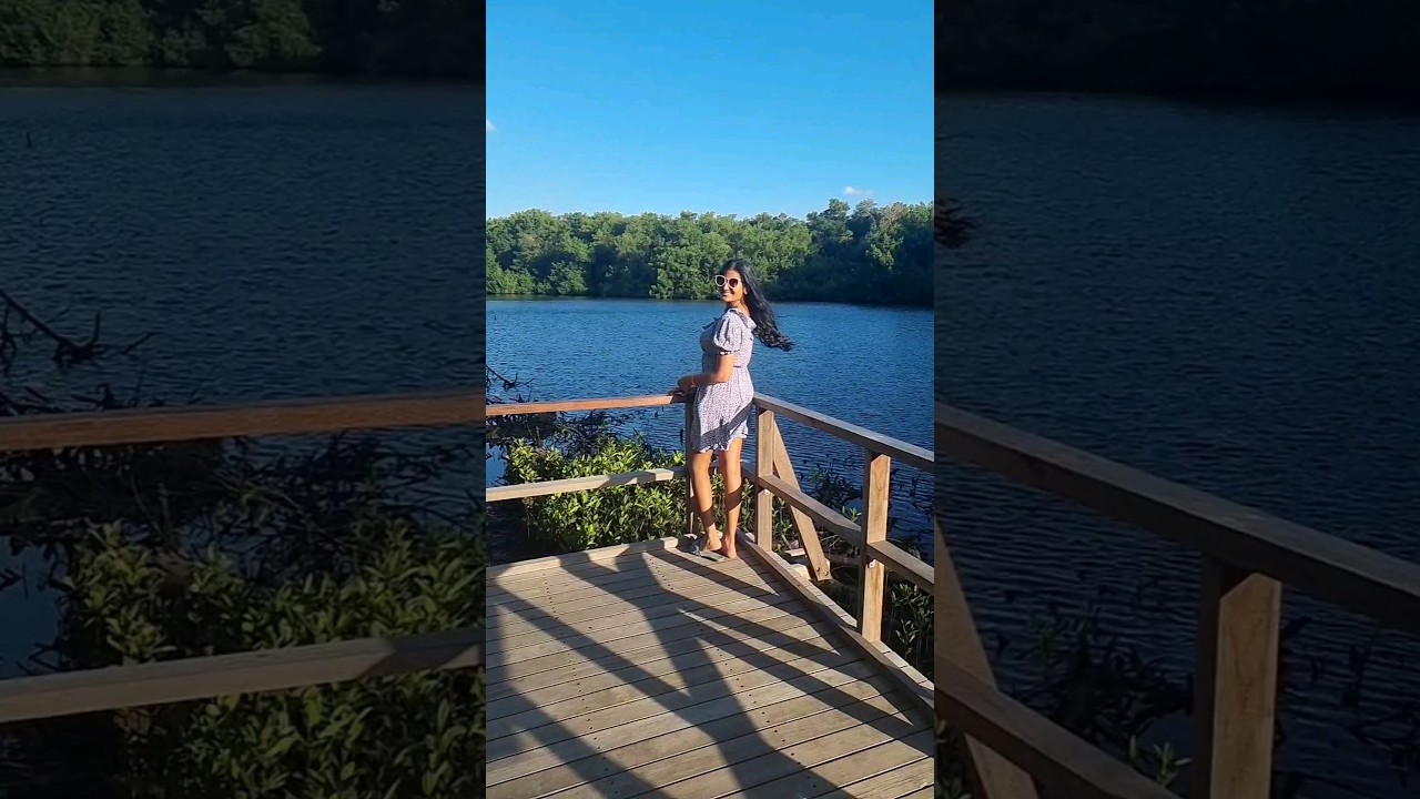 The swamp is now accessible to all!