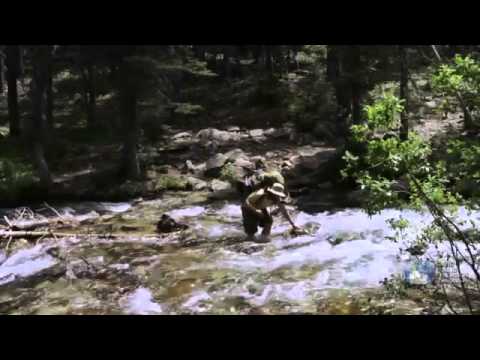 Dialogue:  How to Enjoy the Big Outside