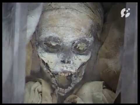 Renovering af Helsingør Domkirke