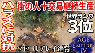 荒らされても、街の人と交易を増やし続ければ勝てちゃいます【モンゴル vs マリ, 湿地, Age of Empires 4, AOE4 ゲーム実況】