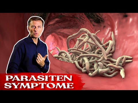 Die besten Kräuter gegen Parasiten | Parasiten Symptome. | Dr Berg Deutsch