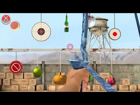 Shooting Archery Video