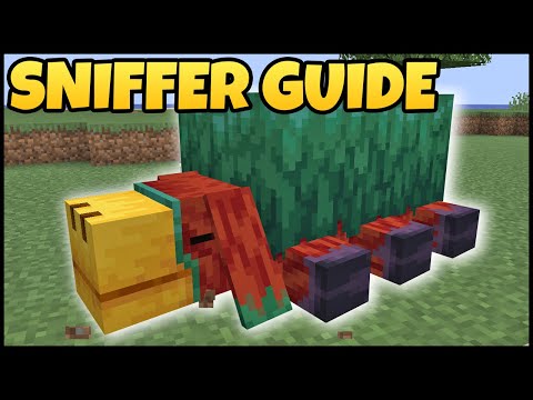 Minecraft SNIFFER Guide