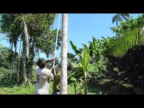 https://www.youtube.com/watch?v=QTu7JzGYkBo