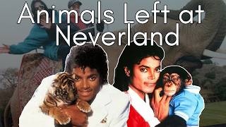 What Happened to the Animals of Neverland Ranch? (Michael Jackson's Menagerie)