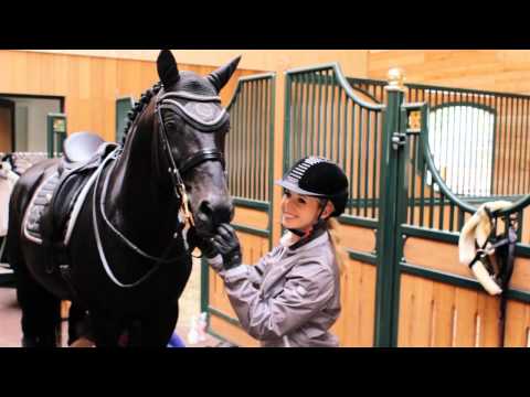 MakingOf ESKADRON Platinum 2015/2016