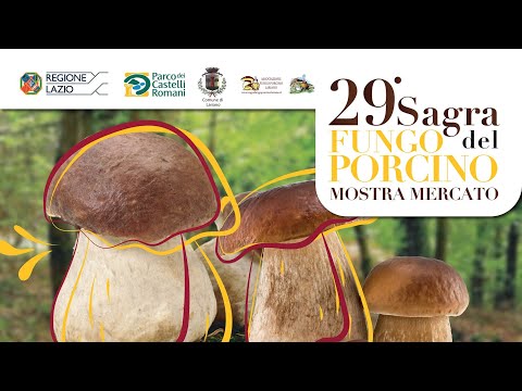 Trailer - Sagra Del Fungo Porcino 2019 - Lariano