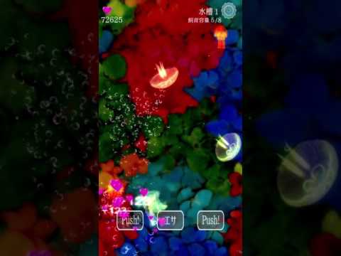 Jellyfish Friends Video