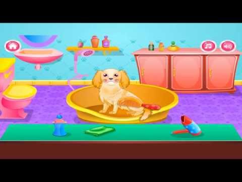 Pet Make Over Beauty Salon Video
