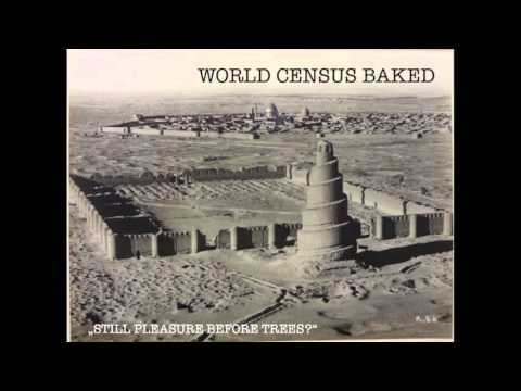 World Census Baked - 02 Voice of Glass