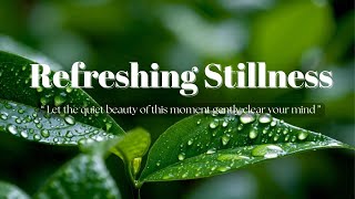 3  Hours Deep Sleep Nylon Guitar & Ocean Ambient 🌙 | Soothing Nature