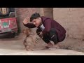 The Mirdul Full Comedy Video Pragati Nitin Mirdul Comedy The Mirdu Themirdul