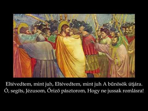 Eltévedtem, mint juh