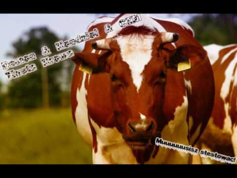 Demon & Kondzioł & CZM - Tłusta Krowa