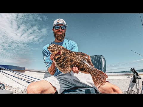 MONSTER FLUKE in Long Island Sound - Catch and Cook