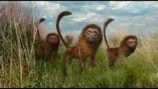 Shining Mountains Episode 4 of 4 - Once And Future Wild ✪ American History Channel