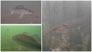 Ice Fishing Season Wrap Up and Underwater Camera Review