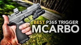 Fix this on your P365