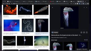 Sons Of Thunder: We shall all receive the same Penny