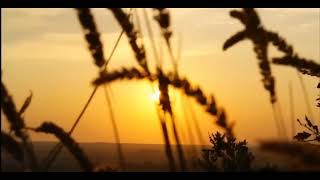 Download lagu ARIEF SLOW ROCK AKU BERHARAP ENGKAU BERKHIANAT lagu terbaru mp3