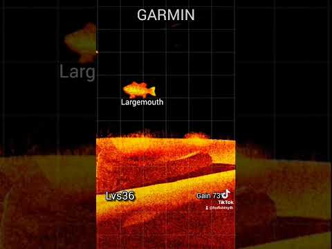 NEW Garmin Livescope LVS36 PLUS! #fishing #garmin #livescope