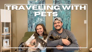 HOW TO TRAVEL WITH PETS // Taking dogs & cats on planes & road trips