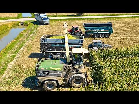 TRINCIATO MAIS 2025 KRONE BIG X 1180 Rosina