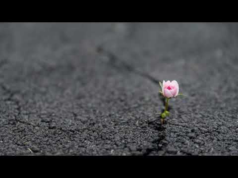 The kingdom of God is among you! - Don Paolo Quattrone