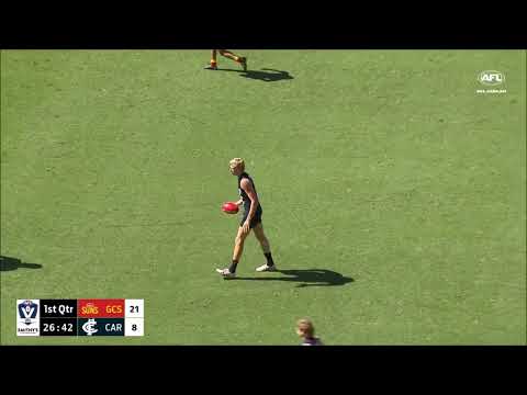 Harry Lemmey - VFL Round 22 Highlights