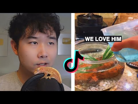 Fishkeeper SHOCKED by TikTOk Fish Tanks | Fish Tank Review 204